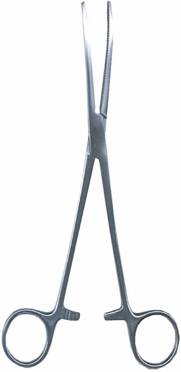 Namiba Terra Feed Tweezers curved stainless steel