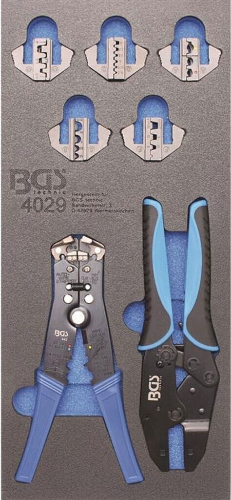 BGS 4029