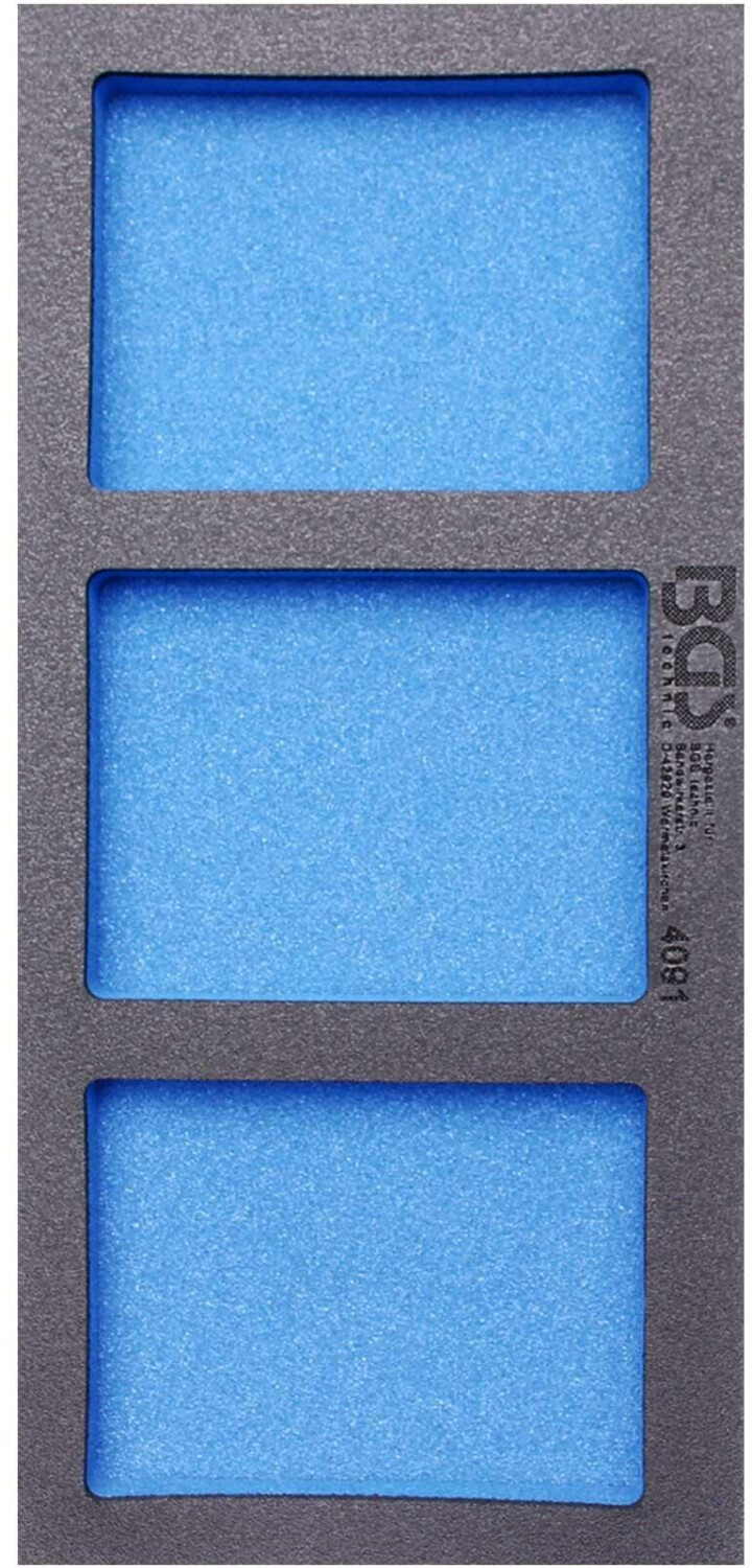 BGS 4091