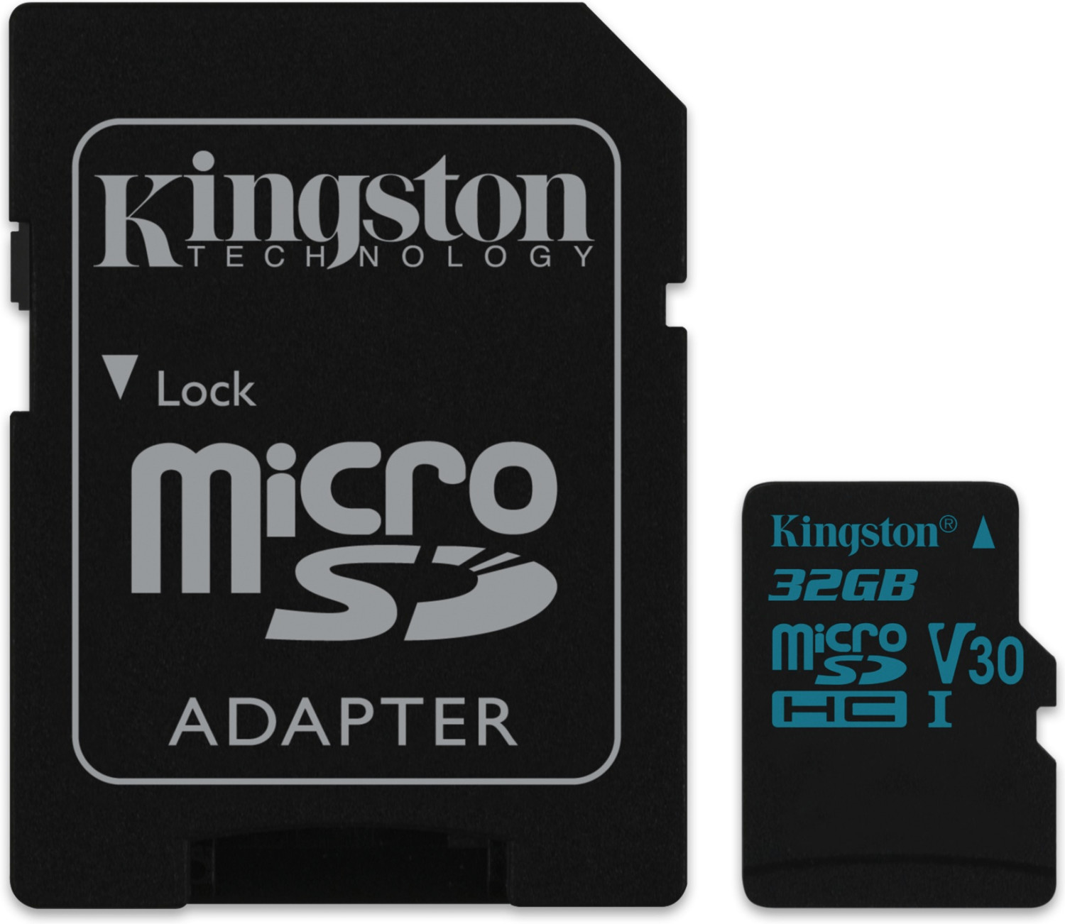 Kingston Canvas Go! microSD