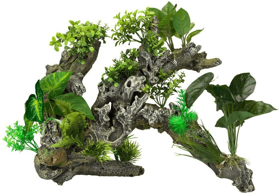 EBI Aqua Della Flora Scape