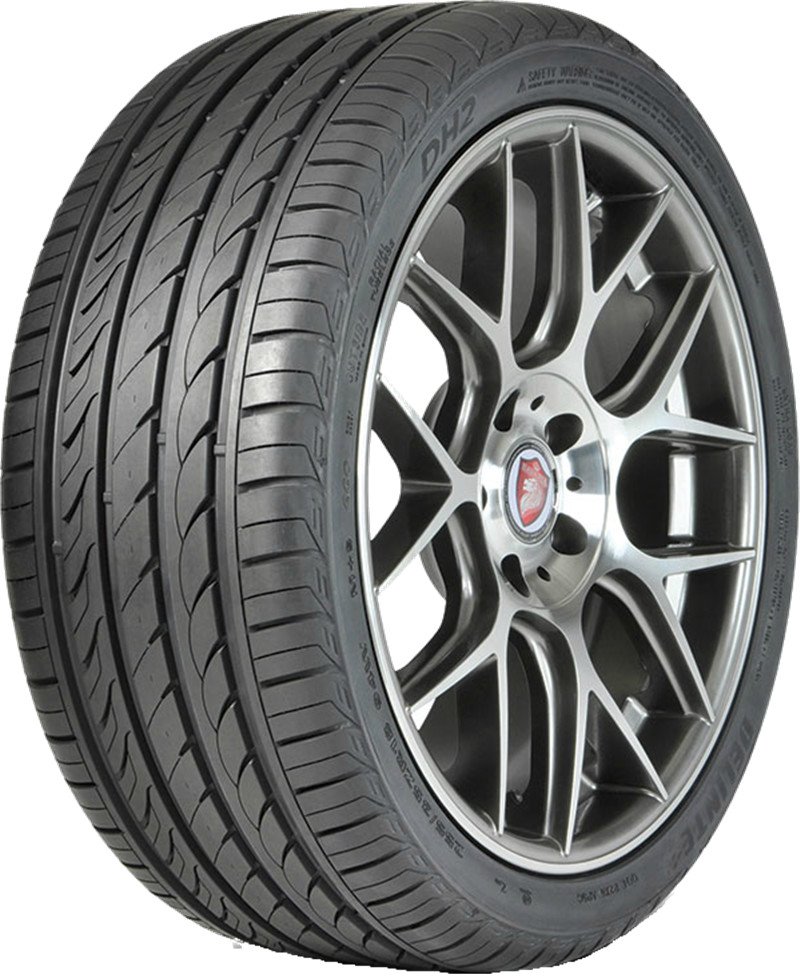 Delinte DH2 175/70 R14 88H