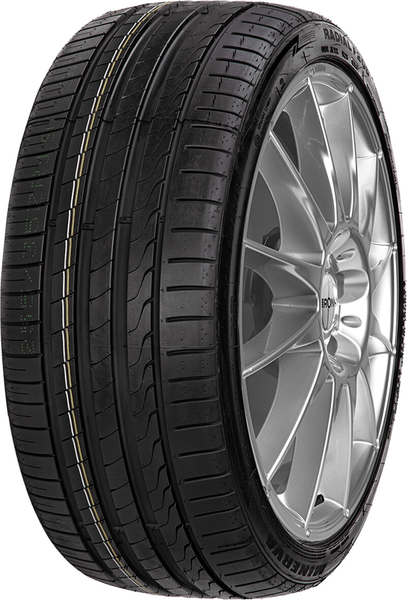 Minerva F205 245/45 R19 102Y