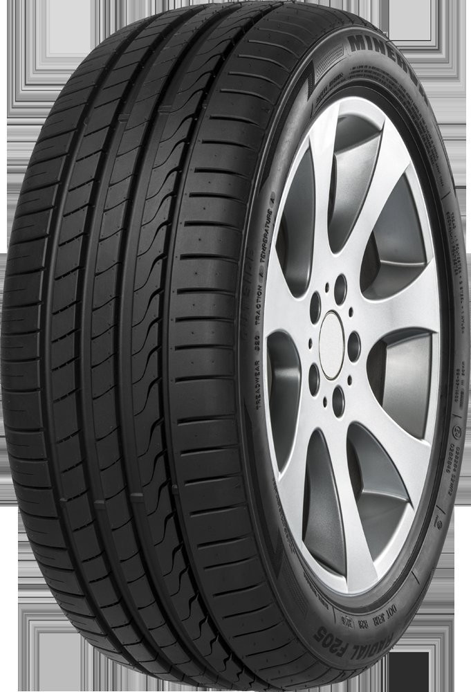 Minerva F205 285/45 R19 111W