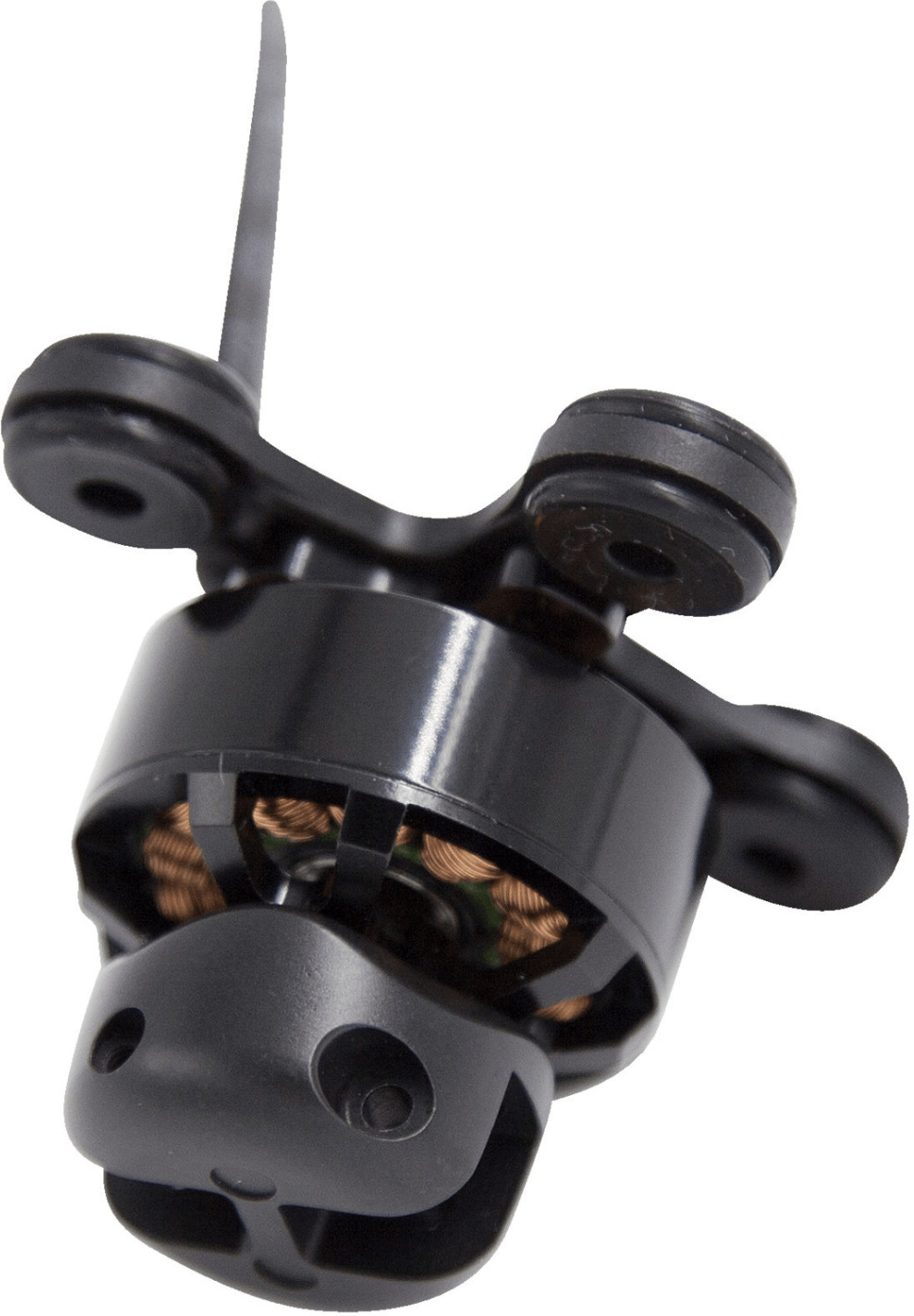 Parrot 02137