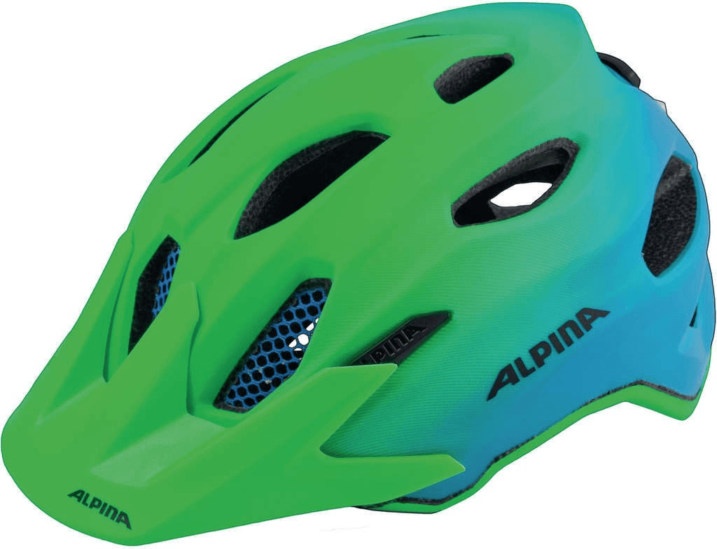 Alpina Carapax green-blue