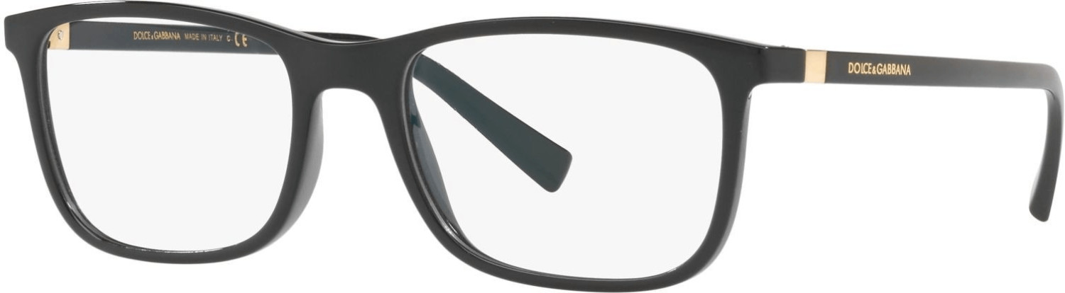 Dolce & Gabbana DG5027 501 (black)