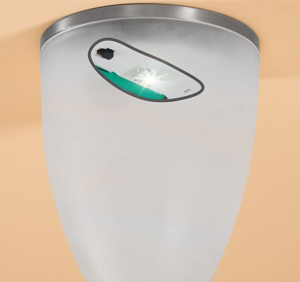 Esotec LED Tropic Light Duo (102607)