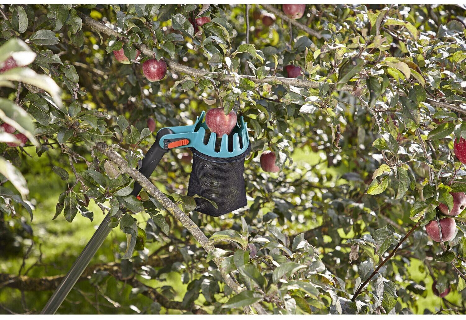 Gardena combisystem Obstpflücker (311520) ab 14,49 € Preisvergleich