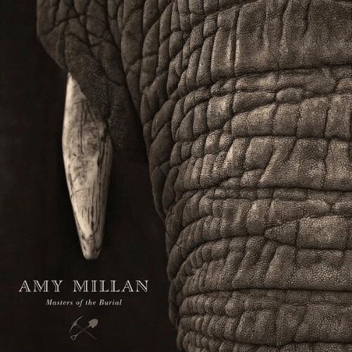 Amy Millan - Masters of the Burial [VINYL]