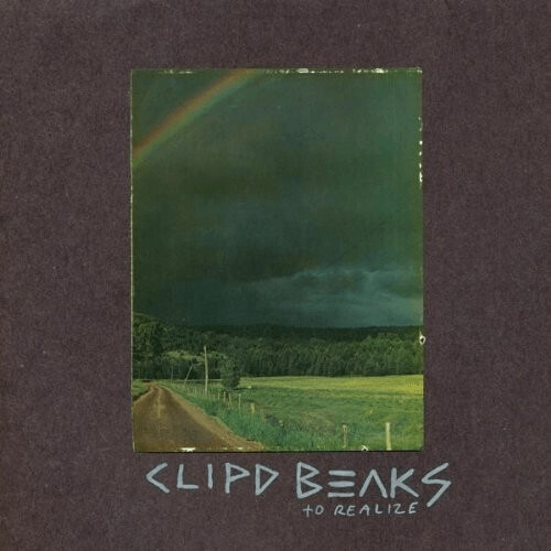 Clipd Beaks - To Realize [VINYL]