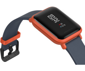amazbitfit