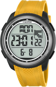 Calypso K5704