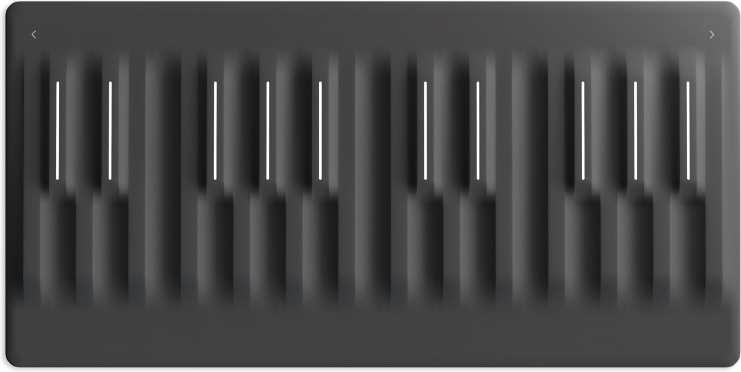 Roli Seaboard Block