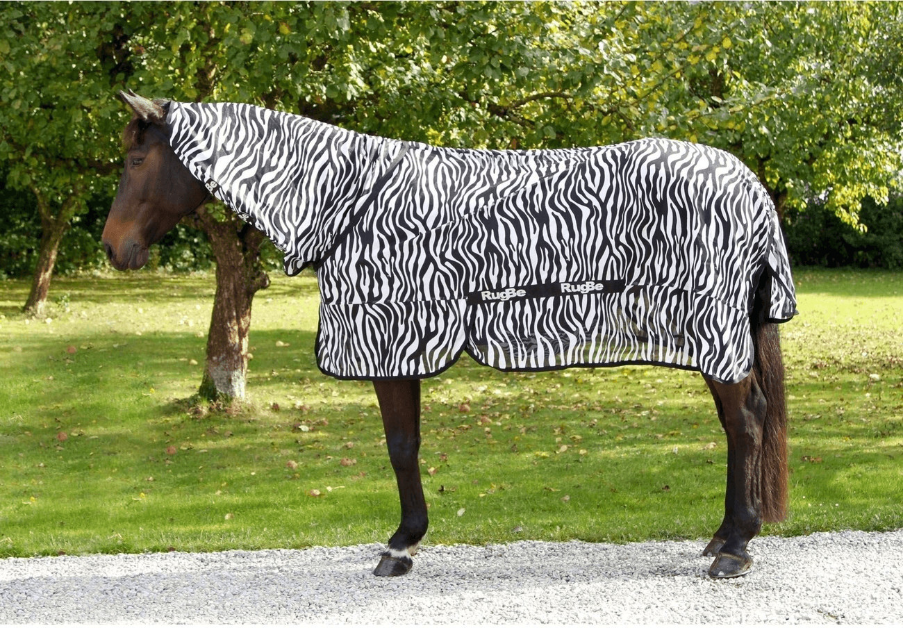 Covalliero RugBe Zebra avec couvre-cou