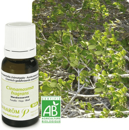 Pranarôm Huile essentielle mandravasarotra (10 ml)