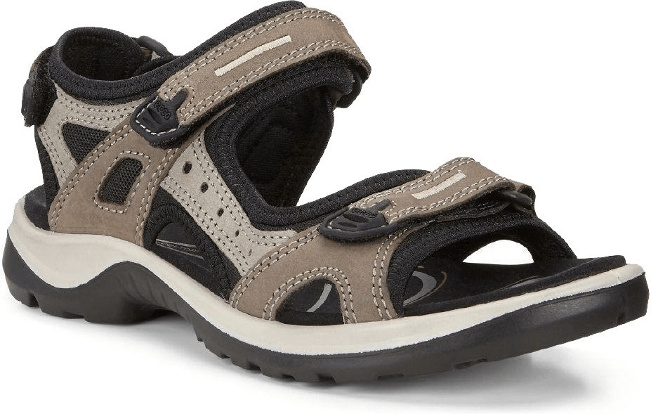 Ecco edinburgh womens birch clearance
