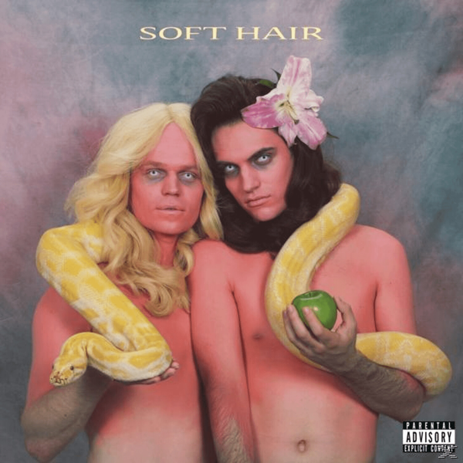Soft Hair - Soft Hair (Vinyl)