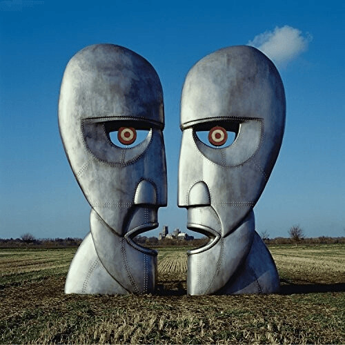 Pink Floyd - Division Bell (180g) (Vinyl)