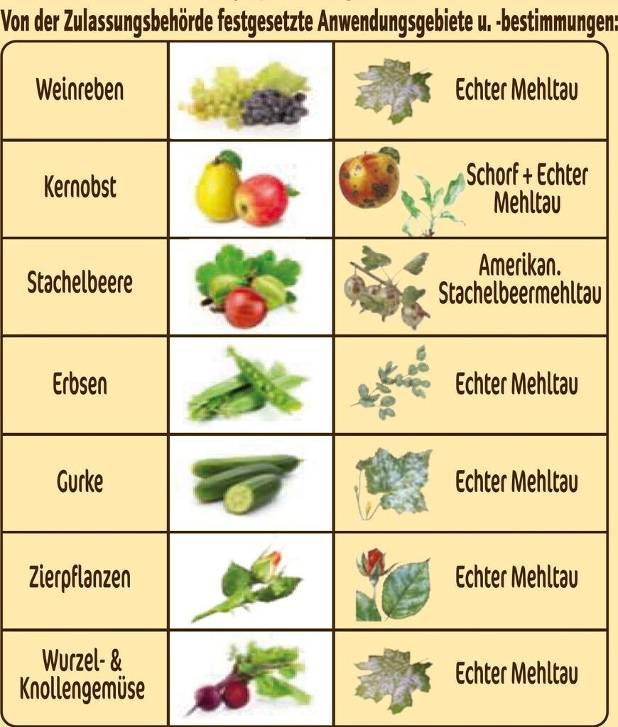 Naturen Naturen 129075 - view 7