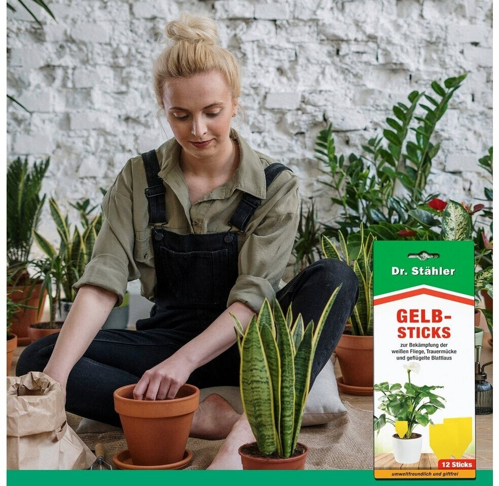 Dr. Dr. Stähler 124538 - side view