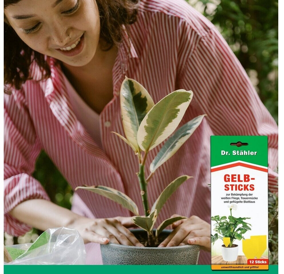 Dr. Dr. Stähler 124538 - back view