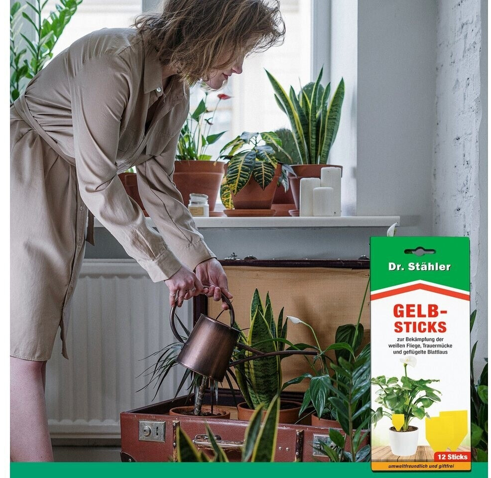 Dr. Dr. Stähler 124538 - alternate view