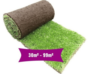 Hornbach Rollrasen Sport & Spiel 3099 m² ab 5,99 € Preisvergleich