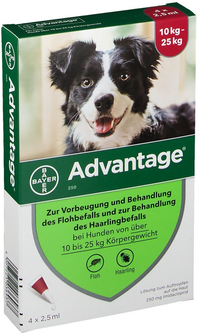 Bayer Santé Familiale Advantage pour chien