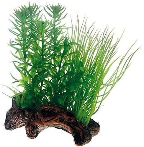 Hobby Flora Root 2 S 17cm