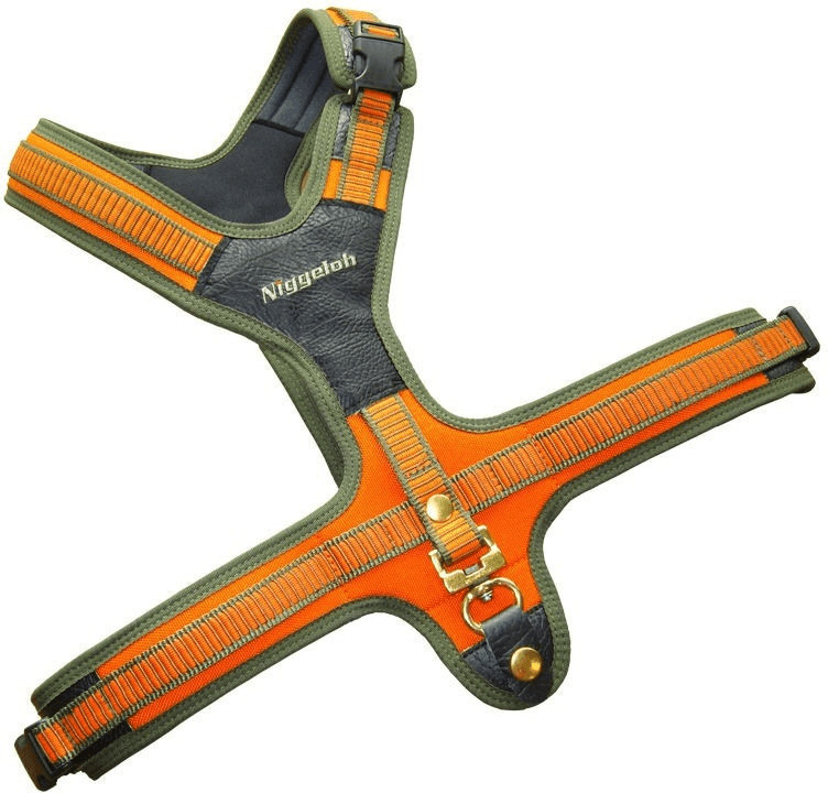 Niggeloh Follow S 39-63 cm orange