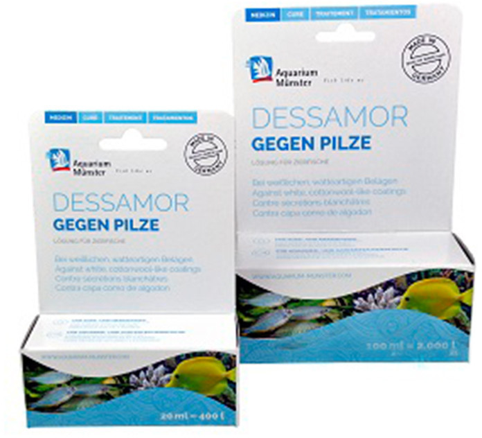 Aquarium Münster dessamor
