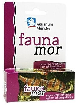 Aquarium Münster faunamor
