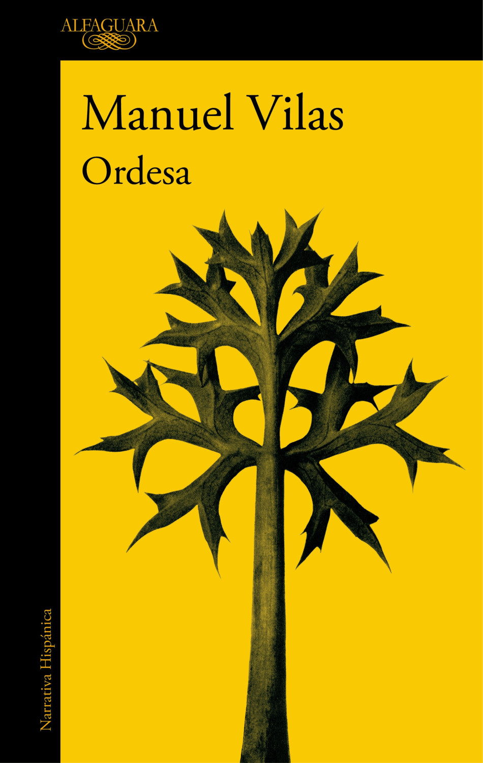 Ordesa (Manuel Vilas)