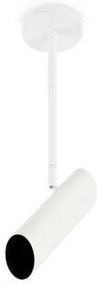 Faro Link (29877)