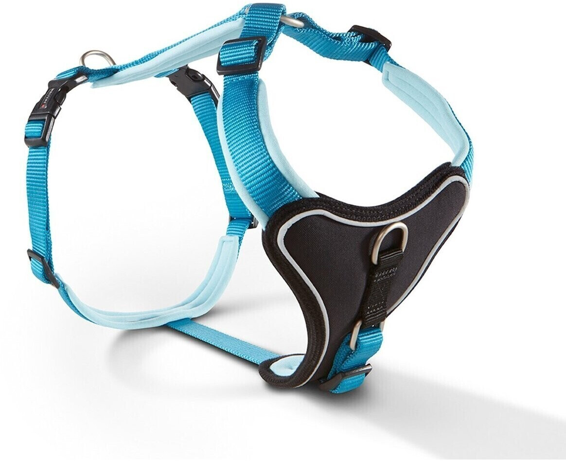 Wolters Harness Professional Comfort 27-32 cm/15 mm aqua/azure