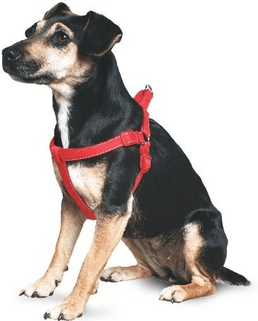 Ancol Padded Harness Red