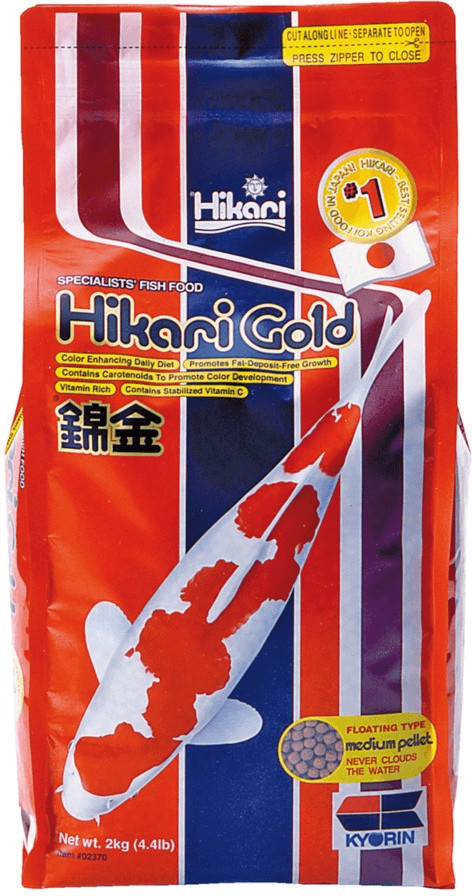 Hikari Gold medium