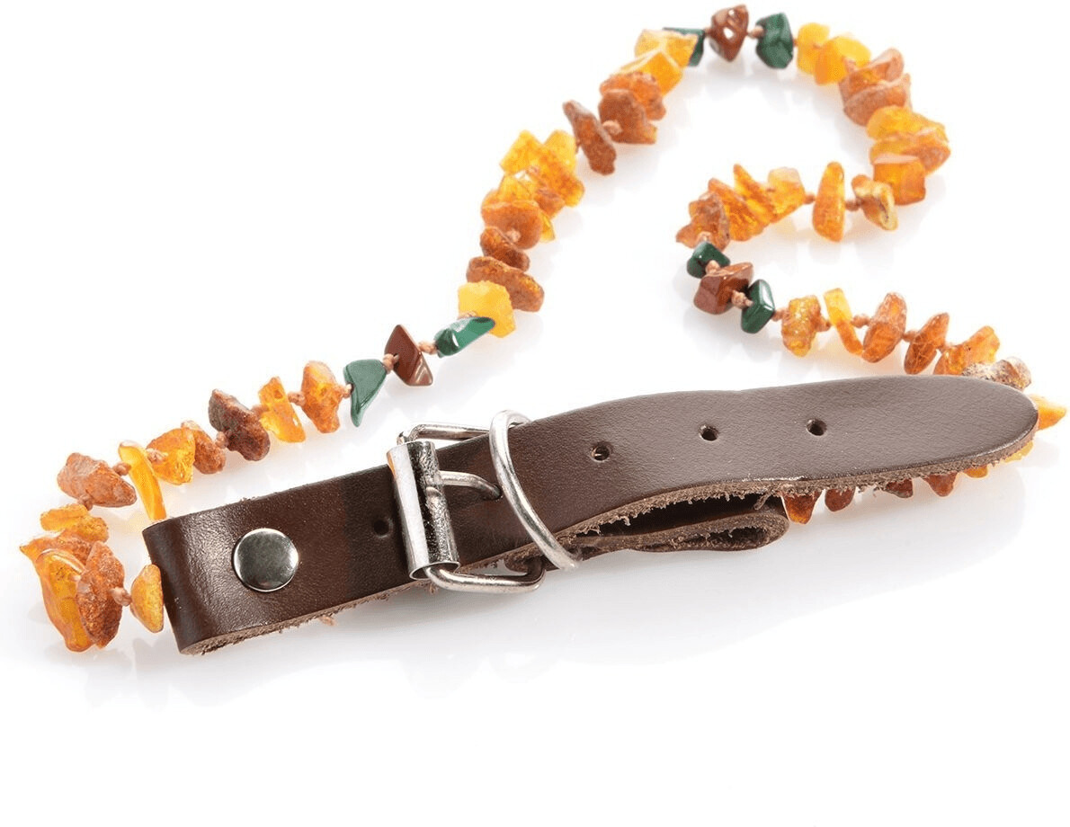 Larsson Farm Amber Collar