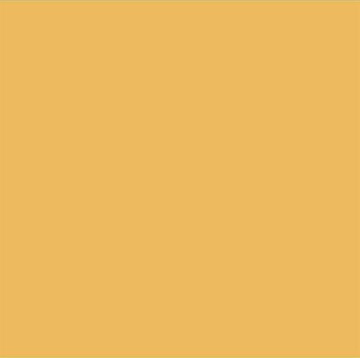 Falcon Eyes Background Paper 1.35x11 m 13 buttercup