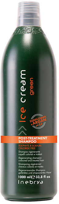 Inebrya Ice Cream Green Post-Treatment Shampoo