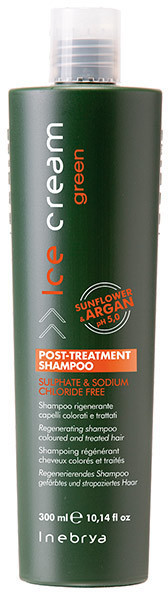 Inebrya Ice Cream Green Post-Treatment Shampoo (300 ml)