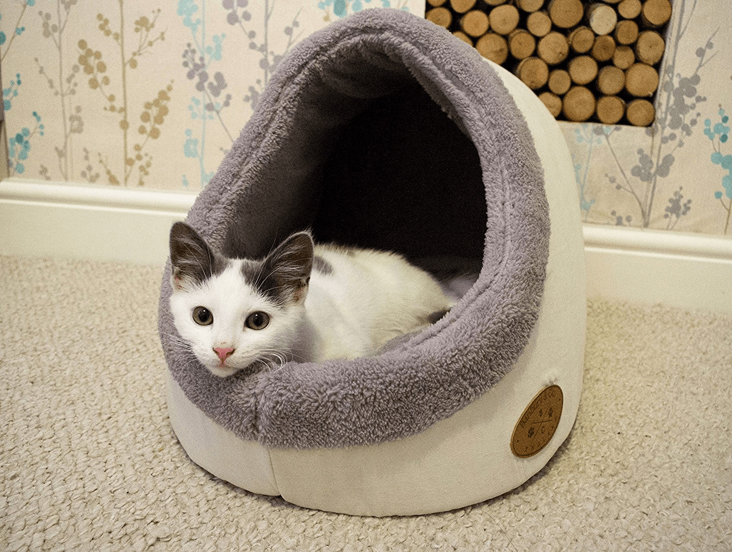 Cosy cat sales bed
