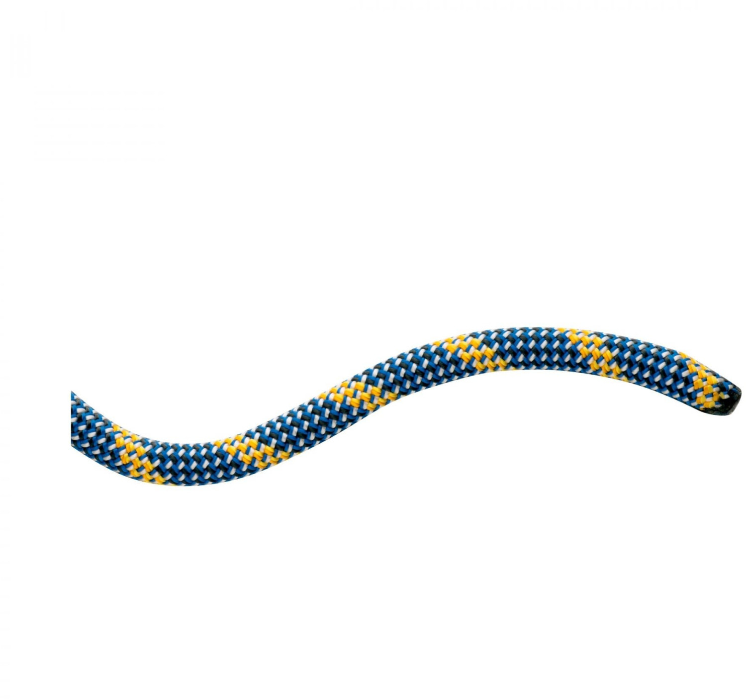 Mammut Gym Rope Classic 10.1 40m (blue)