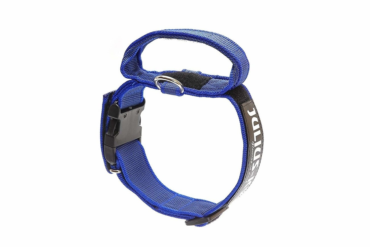 Julius K-9 Collar with Strap & Safety Lock bleu