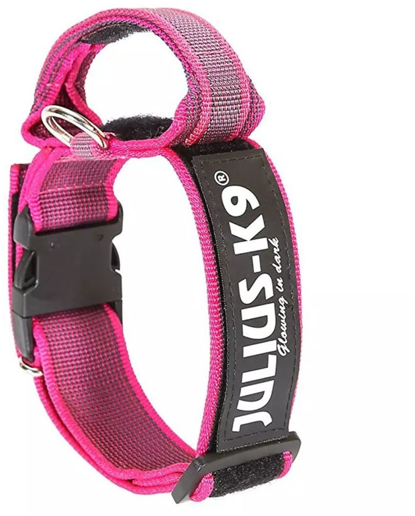 Julius K-9 Collar with Strap & Safety Lock rose