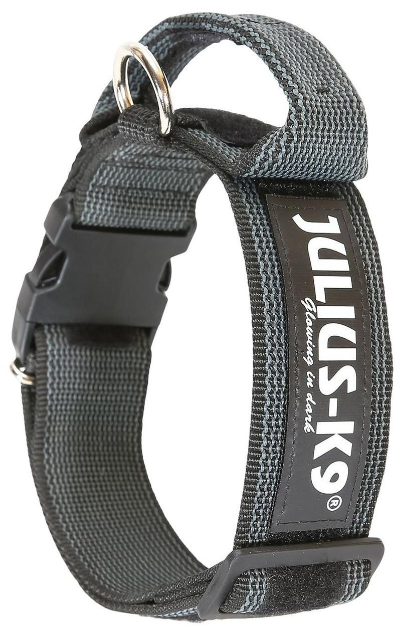 Julius K-9 Collar with Strap & Safety Lock noir