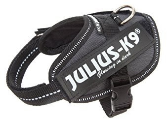 Julius K-9 Harnais IDC Power Baby 2 anthracite