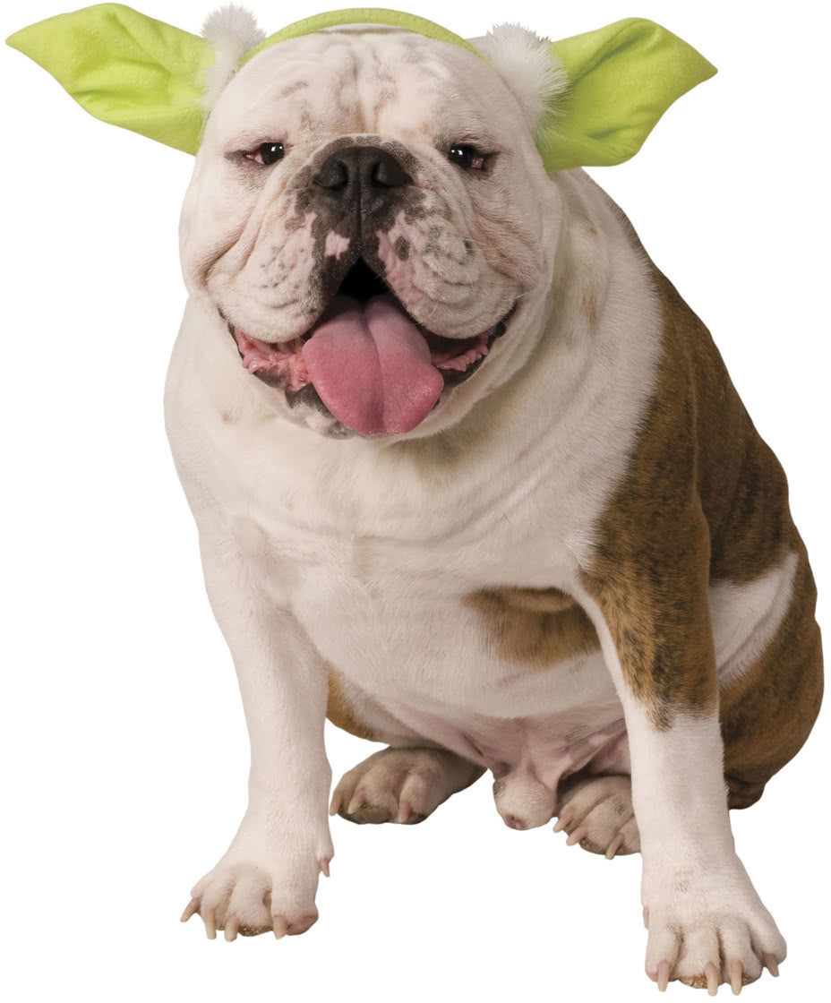 Mehron Hairband with Yoda Ears