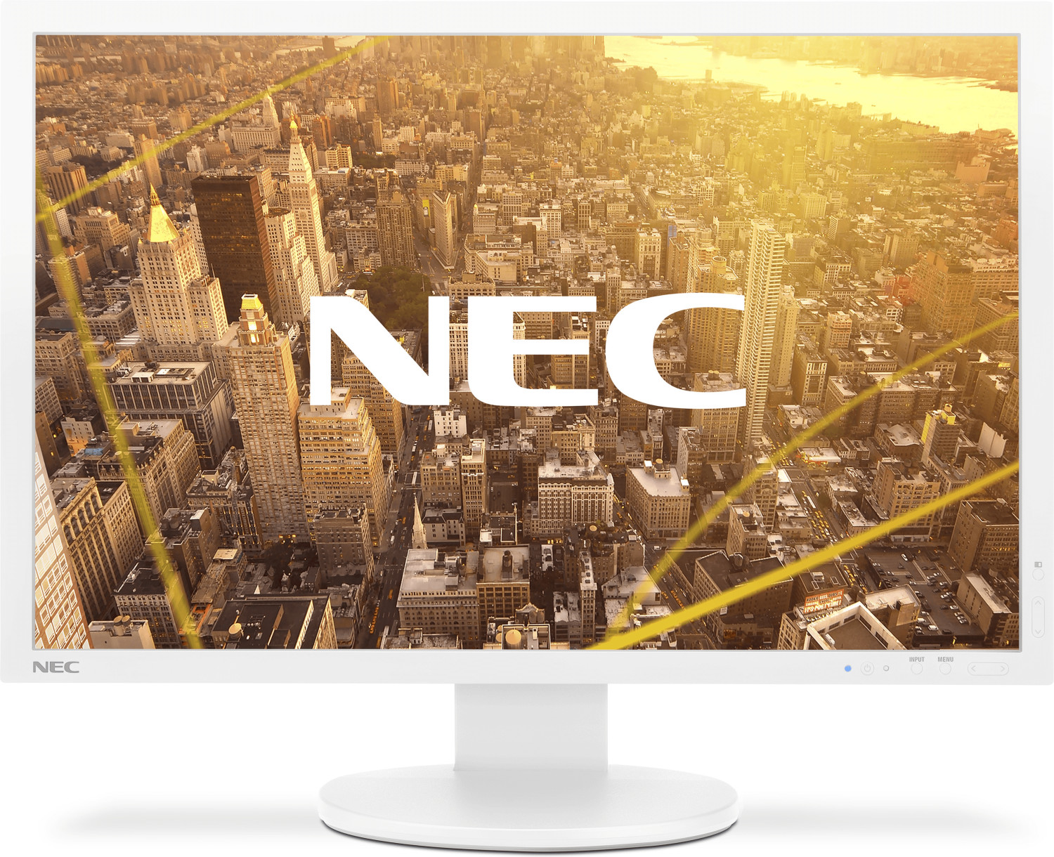 NEC Display Solutions MultiSync PA243W